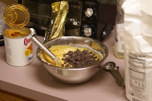 DSC07364 Pumpkin Cookie Batter | Photo by Heidi Lee