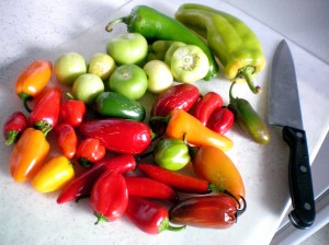 Peppers and tomatillos