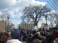 The rally outside of the White House. | Photo by Ari Stern