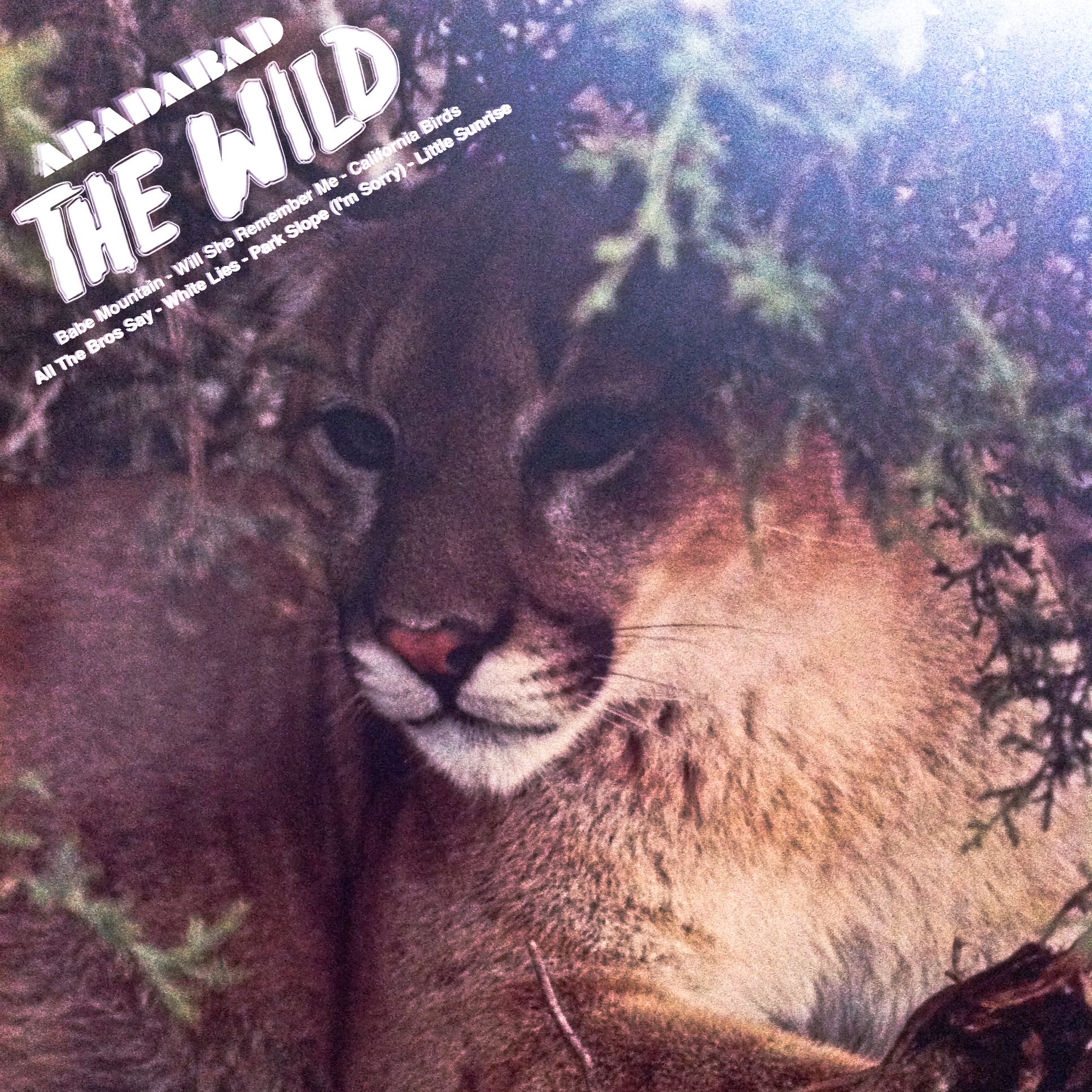 Abadabad's The Wild EP, released in September 2012 | photo courtesy of abadabad.bandcamp.com
