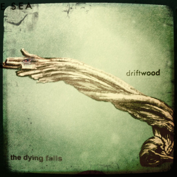 Driftwood is The Dying Falls' first EP, released in 2011 | photo courtesy of thedyingfalls.bandcamp.com