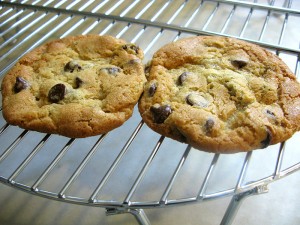 800px-Chocolate_chip_cookies_cooling_on_a_wire_rack,_May_2009
