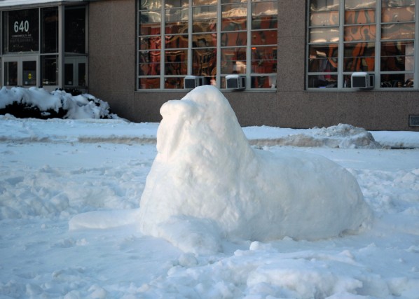 Snow Walrus