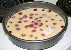 Baked Raspberry Custard