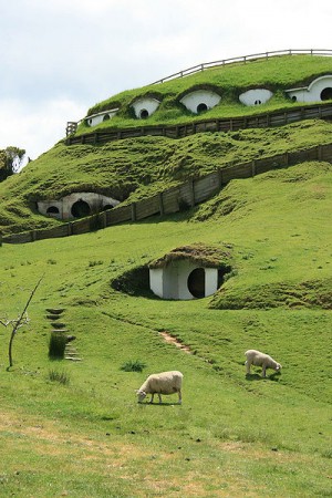 Picturesque hobbit holes: photo courtesy of wikicommons user tara hunt from San Francisco, USA