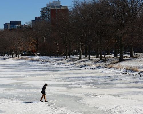 Walking on the Charles is dangerous | Photo courtesy of bostonzest.com